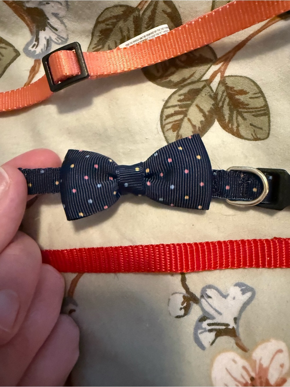 Bundle of 3 xs dog collars